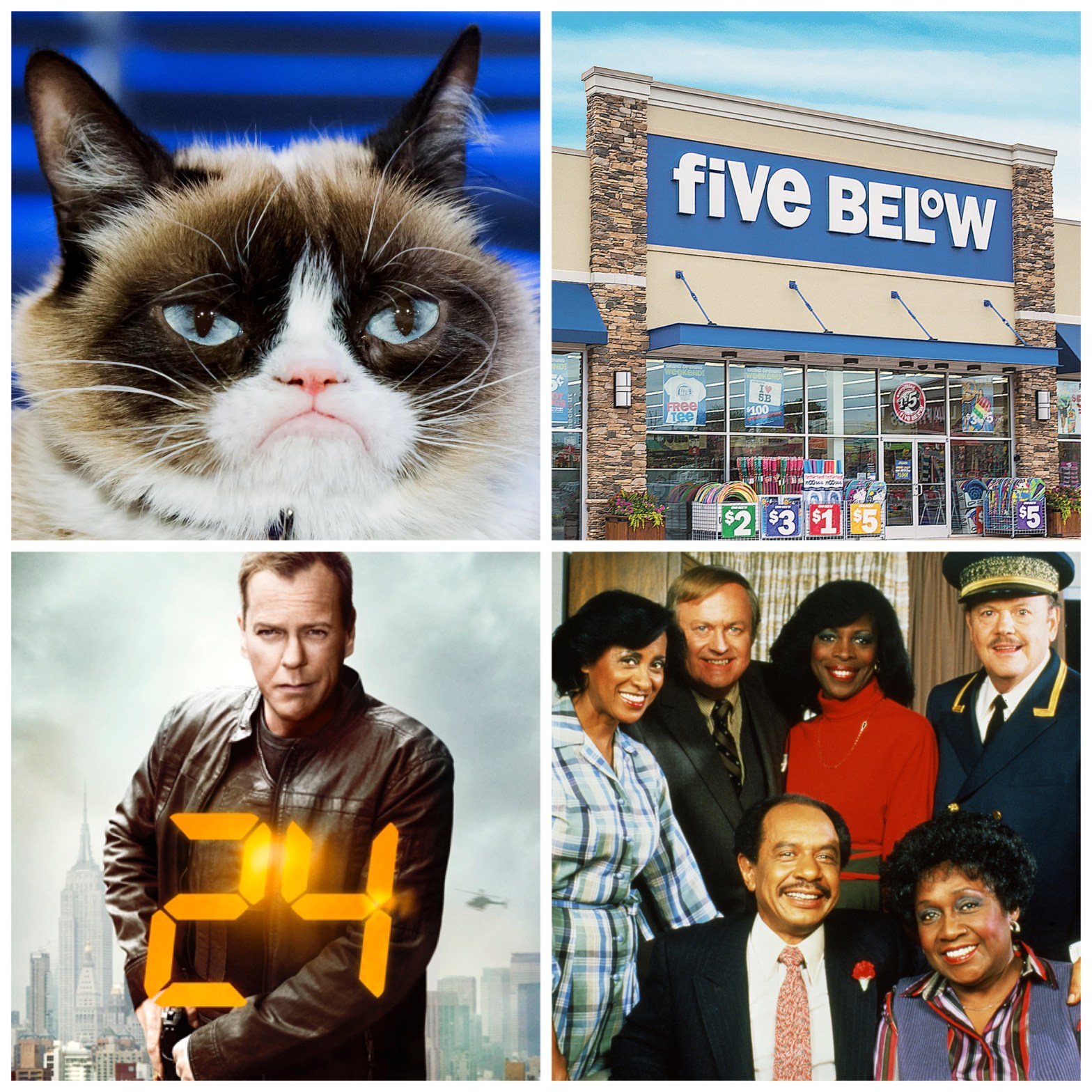 Grumpy Cat, Five Below, 24, and The Jeffersons.
