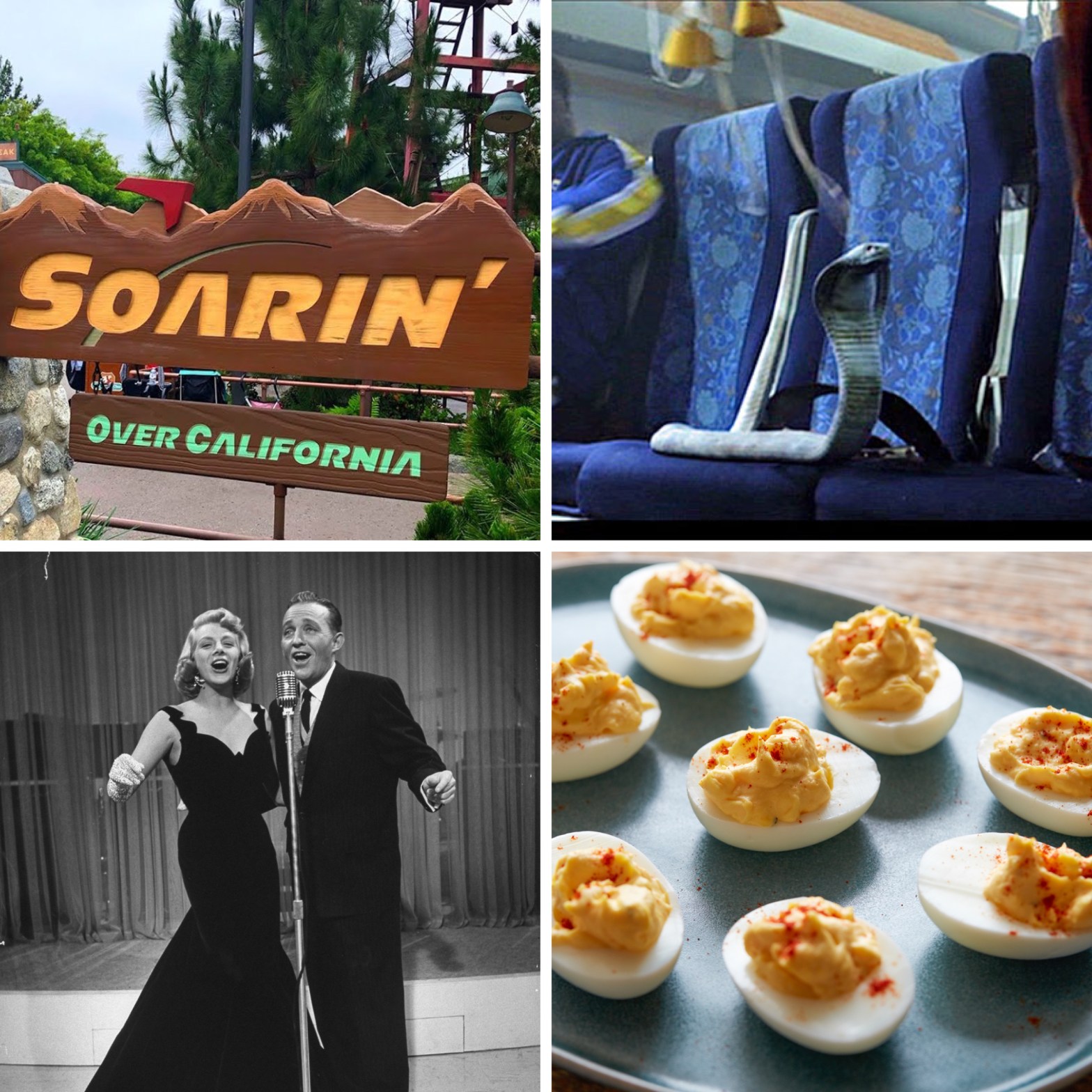 Soarin' Over California at Disney's California Adventure, a snake on a plane, White Christmas, and some deviled eggs.