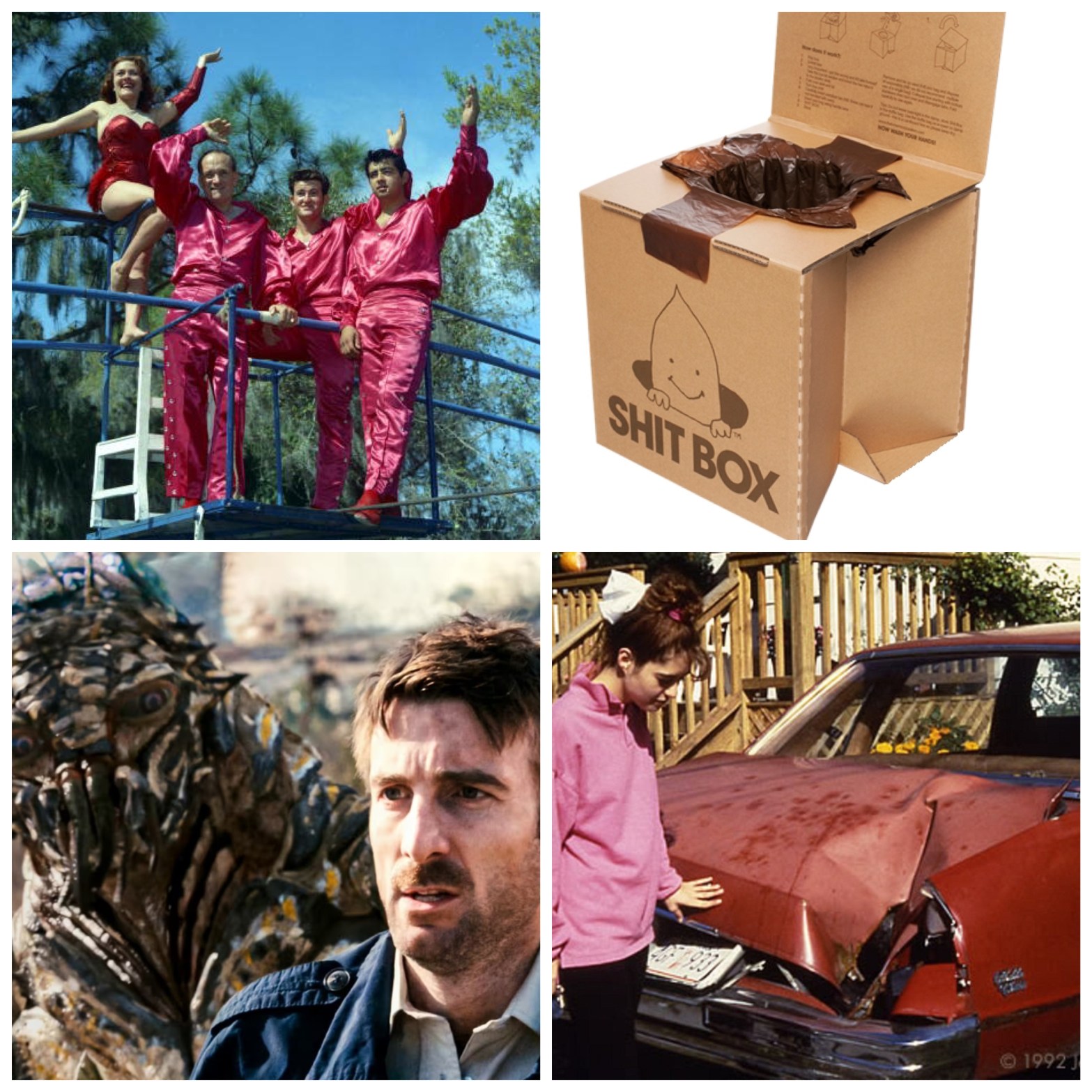 The Flying Wallendas. A shit box. Aliens from District 9. The aftermath of a meteorite smashing through a car.