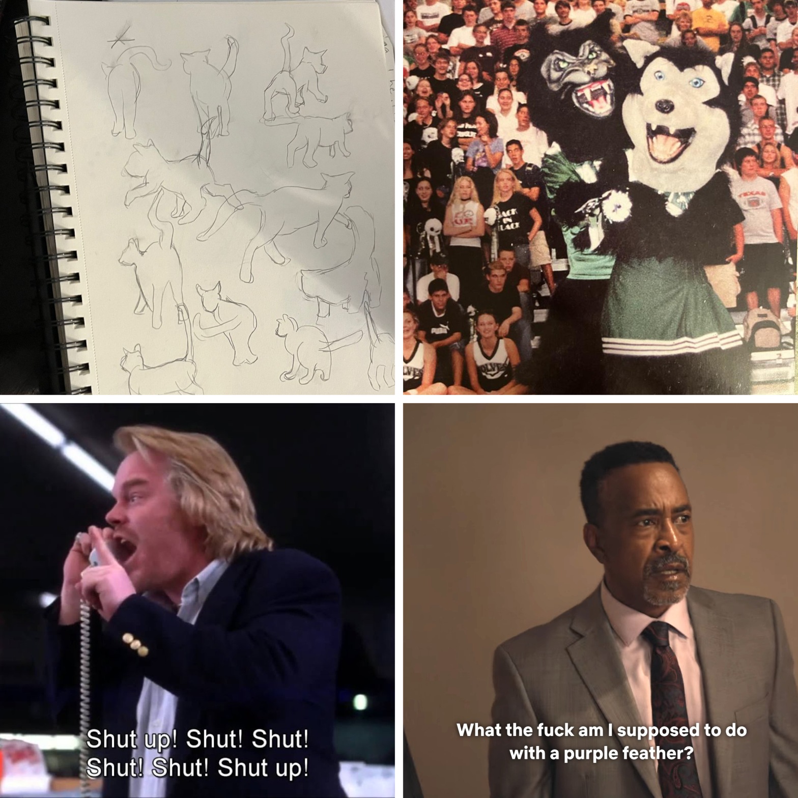Several drawings of cat butts, a friendly timber wolf school mascot and a scary timber wolf school mascot, Philip Seymour Hoffman yelling “Shut up!” in Punch Drunk Love, and Tim Meadows wondering what to do with a purple feather in I Think You Should Leave.