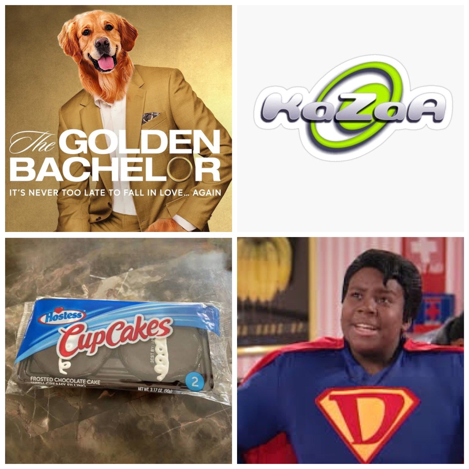 The Golden Bachelor as a Golden Retriever. The Kazaa logo. Hostess CupCakes in a two-pack. Superdude from All That.