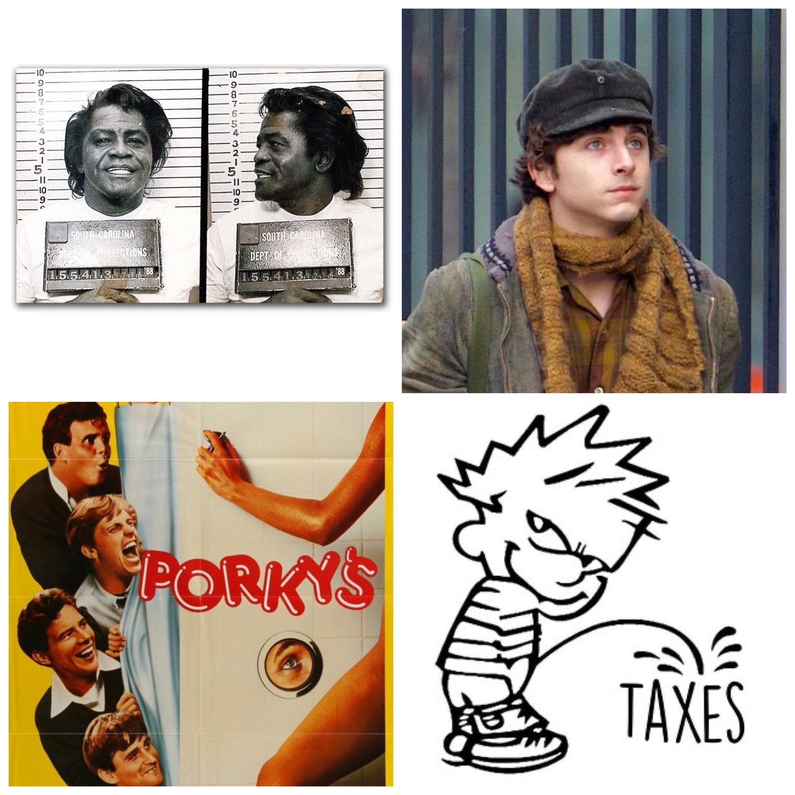 James Brown's mugshot. Timothee Chalamet as Bob Dylan. The poster to Porky's. Calvin the cartoon character peeing on the word TAXES.